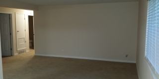 Jackson Square Gallery 41