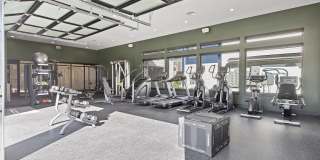 Meadowscape Gallery 17