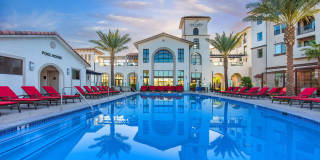 Vineyards Gallery 37