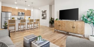 Acero on Roosevelt Gallery 8