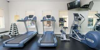 Paseos At Magnolia Luxury Apartment Homes Gallery 8