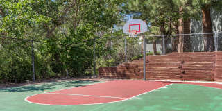 Arcadia Apartments Gallery 5