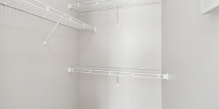 The Collins Gallery 25
