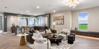 Alta Avondale Gallery 24