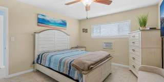Dolphin Beach Gallery 15