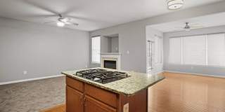 25257 Bald Eagle Terrace Gallery 15