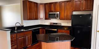 66 PAYNE Street Gallery 7