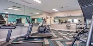 Timber Hollow Apartments Gallery 7