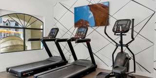 Twin Palms Gallery 23