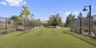 Canyon Bluffs Gallery 11