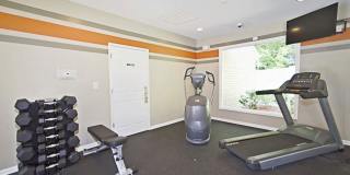 555 Mansell Gallery 8