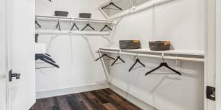 The Sadie Gallery 64
