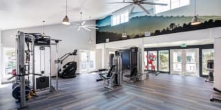 The Woodlands The Woodlands Gallery 13