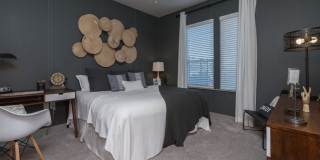 Mariner Grove Gallery 15