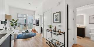 Evani 3223 Wilshire Gallery 4