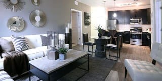 The Allure Mineola Gallery 1