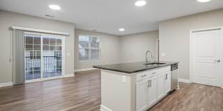 5151 Foxtail Pine Street Gallery 1