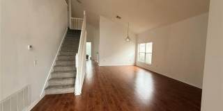 2918 BLOOMING ALAMANDA Loop Gallery 10