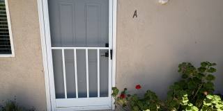 514 East Oak Street - A Gallery 1