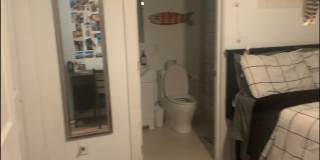 1609 Sydenham Gallery 20