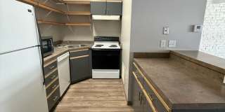 Harney Street Apartments Gallery 18