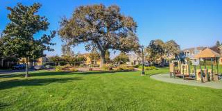 Beautiful and Spacious 3BR 2.5BA Single Family Home Gallery 23