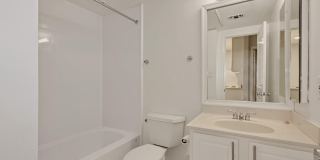 648 C ST NE #1 Gallery 12