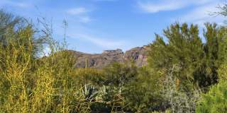 3BR/4BA Professional Retreat with Private Desert Oasis Gallery 35