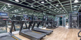 The Statesman Gallery 12