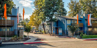 Pacific Commons Gallery 16