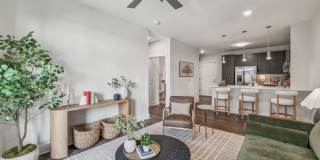 Mercury Noda Gallery 6