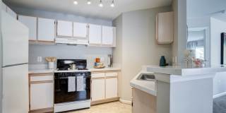 Village of Churchills Choice Gallery 15