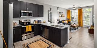 Abberly Noda Vista Gallery 1