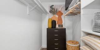 ReNew Biltmore Gallery 11