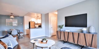 The Harlow Gallery 10