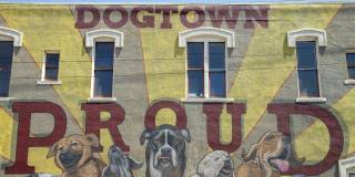 Thrive Argenta Gallery 18