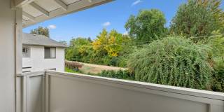 Shannon South Gallery 8