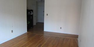 1991 Commonwealth Ave #12A Boston MA 02135 Gallery 1