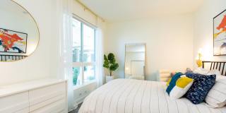 Ovelo Hollywood Gallery 16