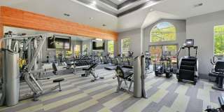 Solano at Chapel Hill Gallery 12