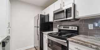 Derby at Steeplechase Gallery 42