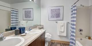 Signature Pointe Gallery 28