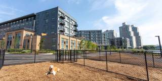 Rivermark Northern Liberties Gallery 34