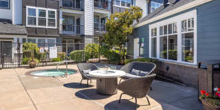 Bella Terra Gallery 1