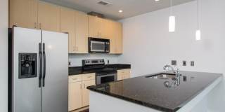 Beautiful Studio Condo In The Adelicia Gallery 5