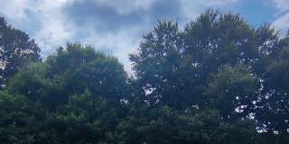 387 Ralph McGill Boulevard Northeast - H Gallery 17