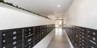 Avalon Cherry Hills Gallery 27