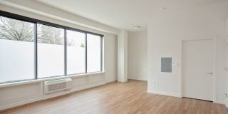 The Century Gallery 19