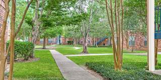 Spring Brook Gallery 26