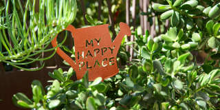 219 Equestrian Avenue Gallery 23